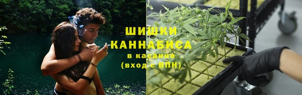 МДПВ Аркадак