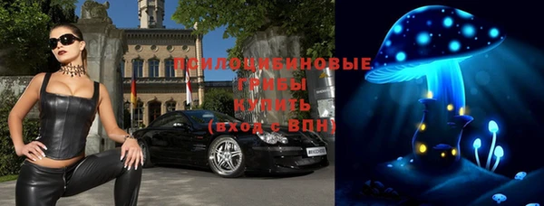 дмт Армянск