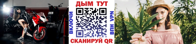 Каннабис гибрид Таруса